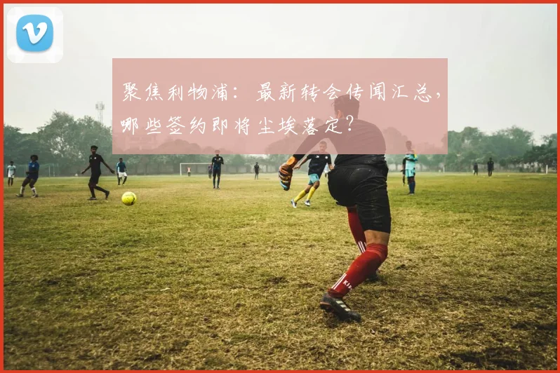 聚焦利物浦：最新转会传闻汇总，哪些签约即将尘埃落定？